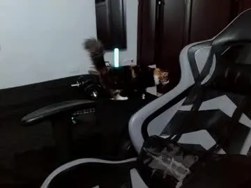 Freechat aarman_bannana on Chaturbate