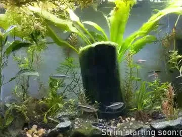 Chaturbate booker_baxton is Freechat booker_baxton — Demolition Derby #uncut #young #gay #bi #twink