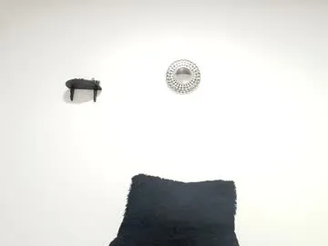 Freechat daniaramirez on Chaturbate