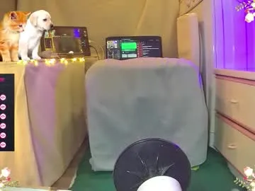 Freechat extremelover88 on Chaturbate