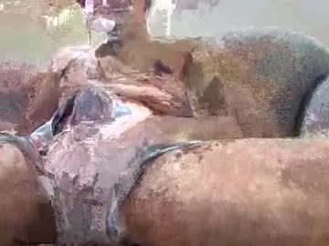 Freechat good_arab_big_dick on Chaturbate