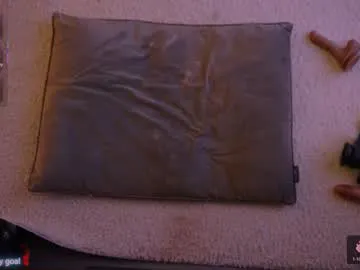 Private redhead_shark on Chaturbate