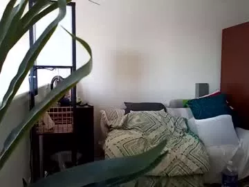 Freechat salis1981 on Chaturbate