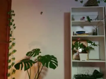 Offline stellart_ on Chaturbate