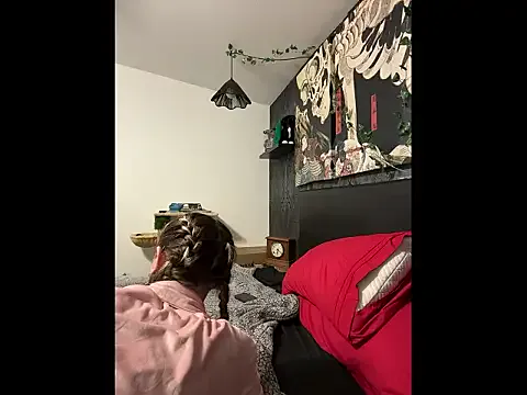 Private AshenRoe on StripChat