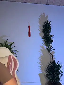 Freechat bri_von_dhara__ on StripChat