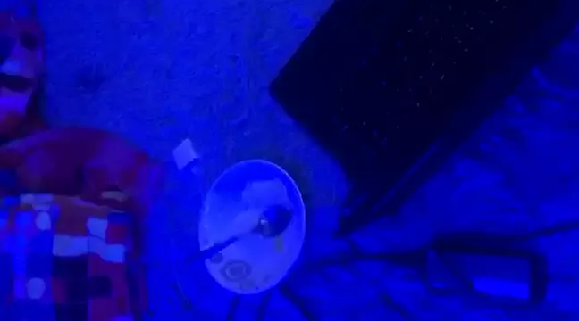 Private Catyloves on StripChat