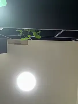 chick-888 on StripChat 