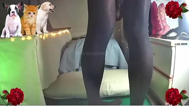 Freechat extremelover88 on StripChat