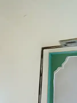 Freechat honeypot224 on StripChat