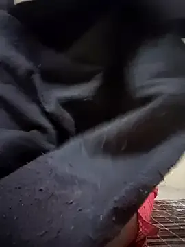 StripChat Lovely_Payal is Freechat Lovely_Payal — want to buy a lappy