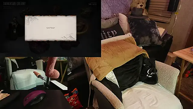 roknblaze — 205025 SEC CONTROL LINK