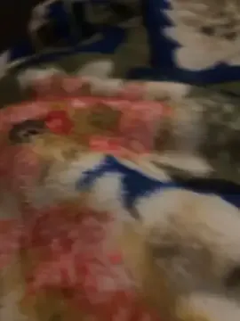 Offline SaraOne_arab on StripChat