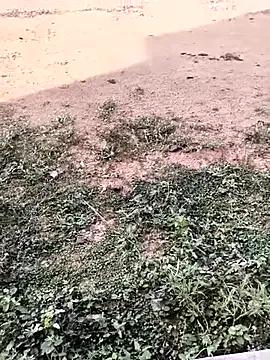 Freechat tamil202 on StripChat