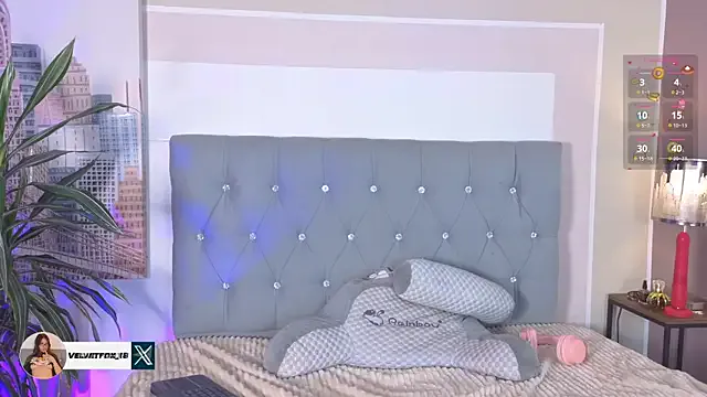 VelvetFox_ on StripChat